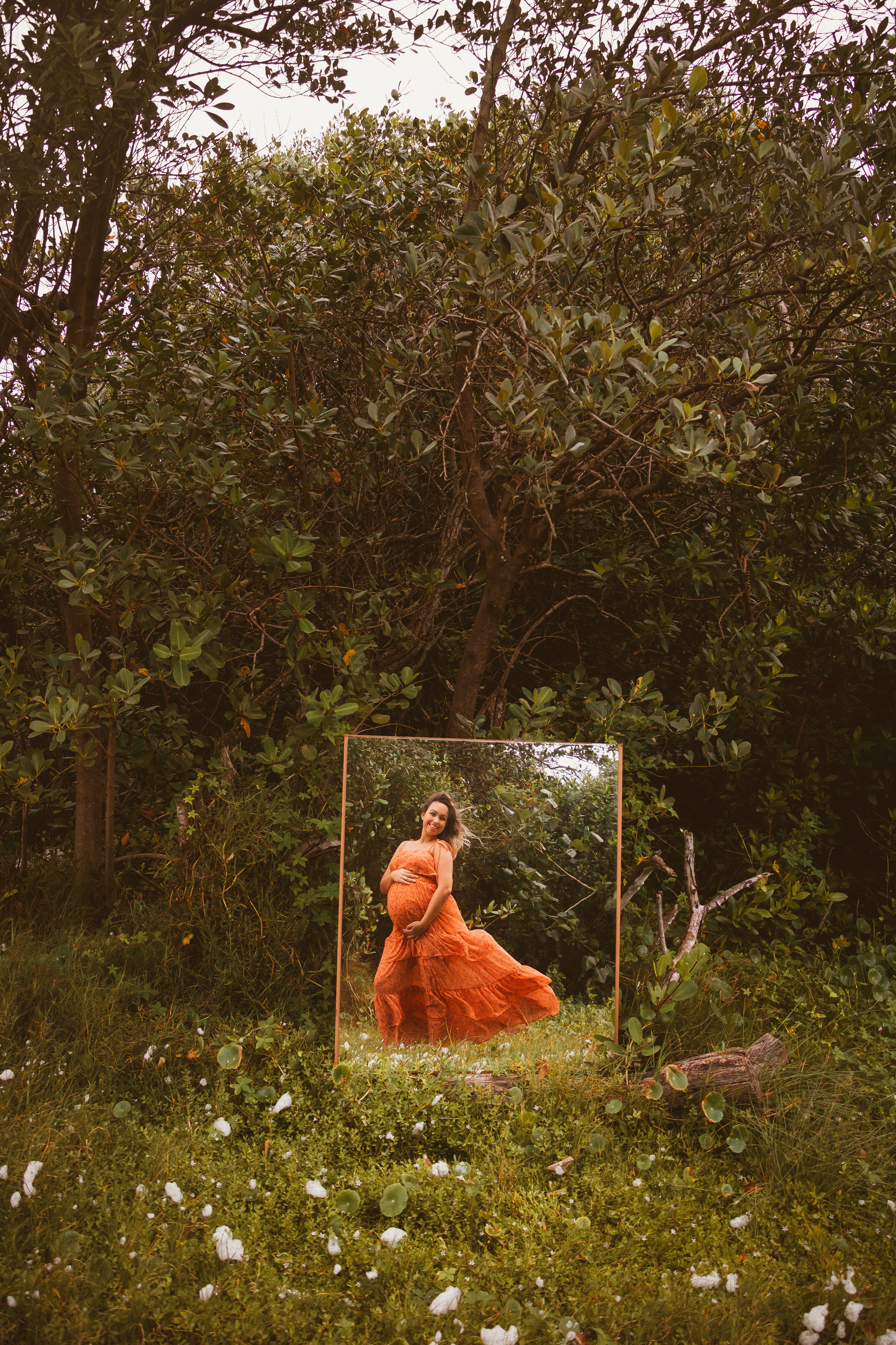 Mirror Reflection in Rio de Janeiro Forest · Free Stock Photo