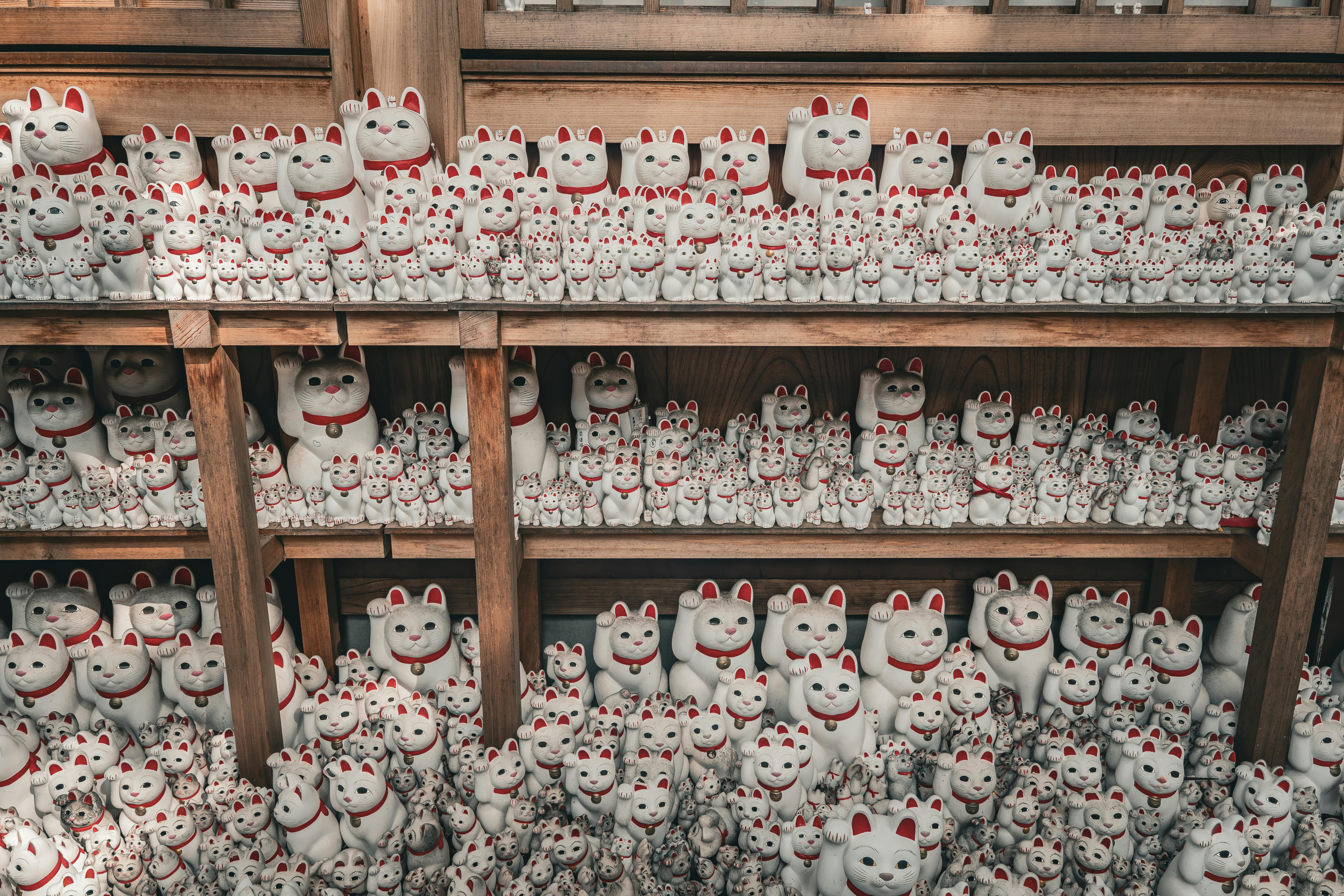 蘆洲湧蓮寺國運籤出爐！政治、商業「下下籤」