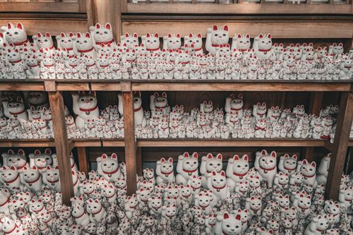 Free A large collection of Maneki-neko figurines displayed in a temple in Tokyo, Japan. Stock Photo