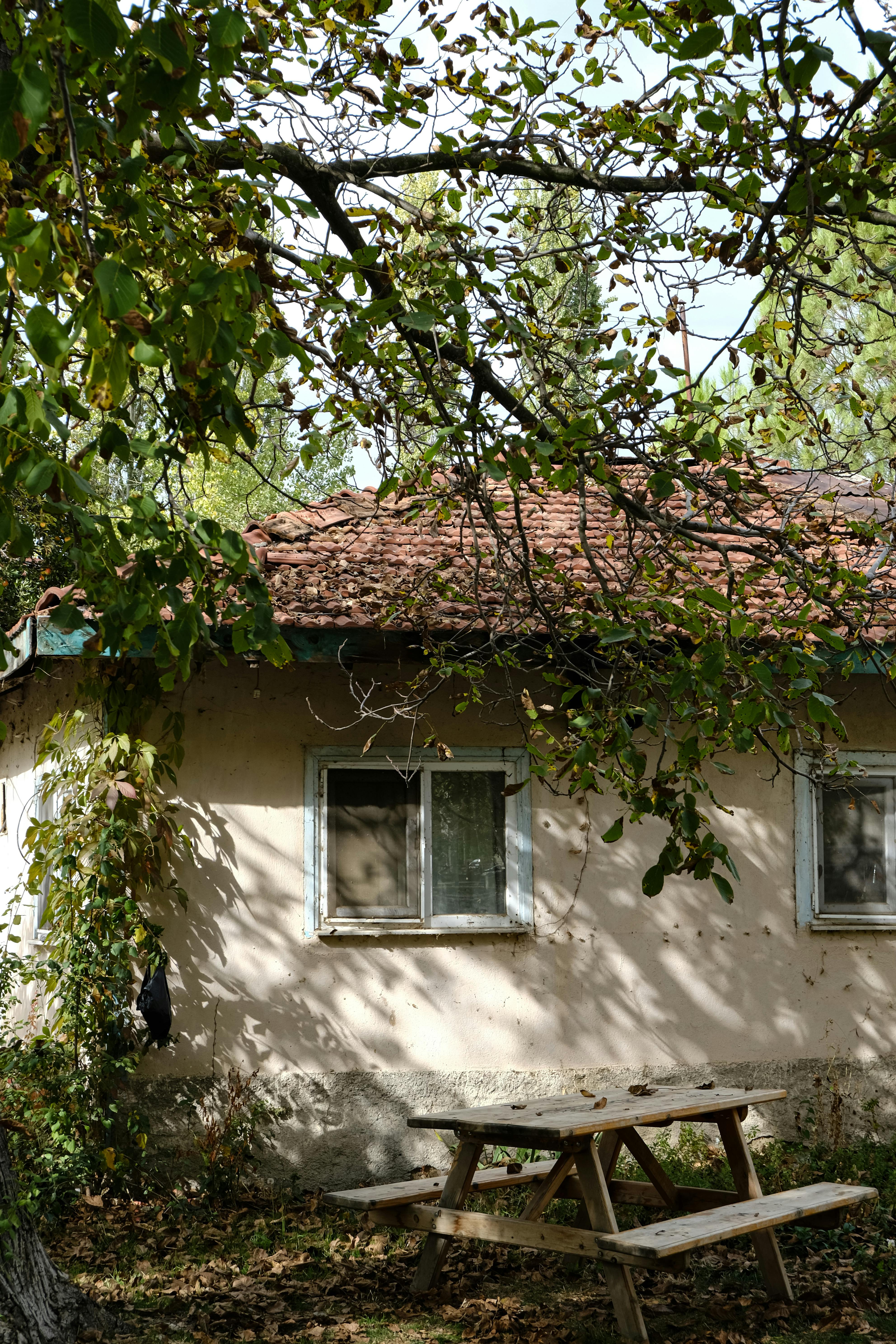 Cottage Core Window Photos, Download The BEST Free Cottage Core Window