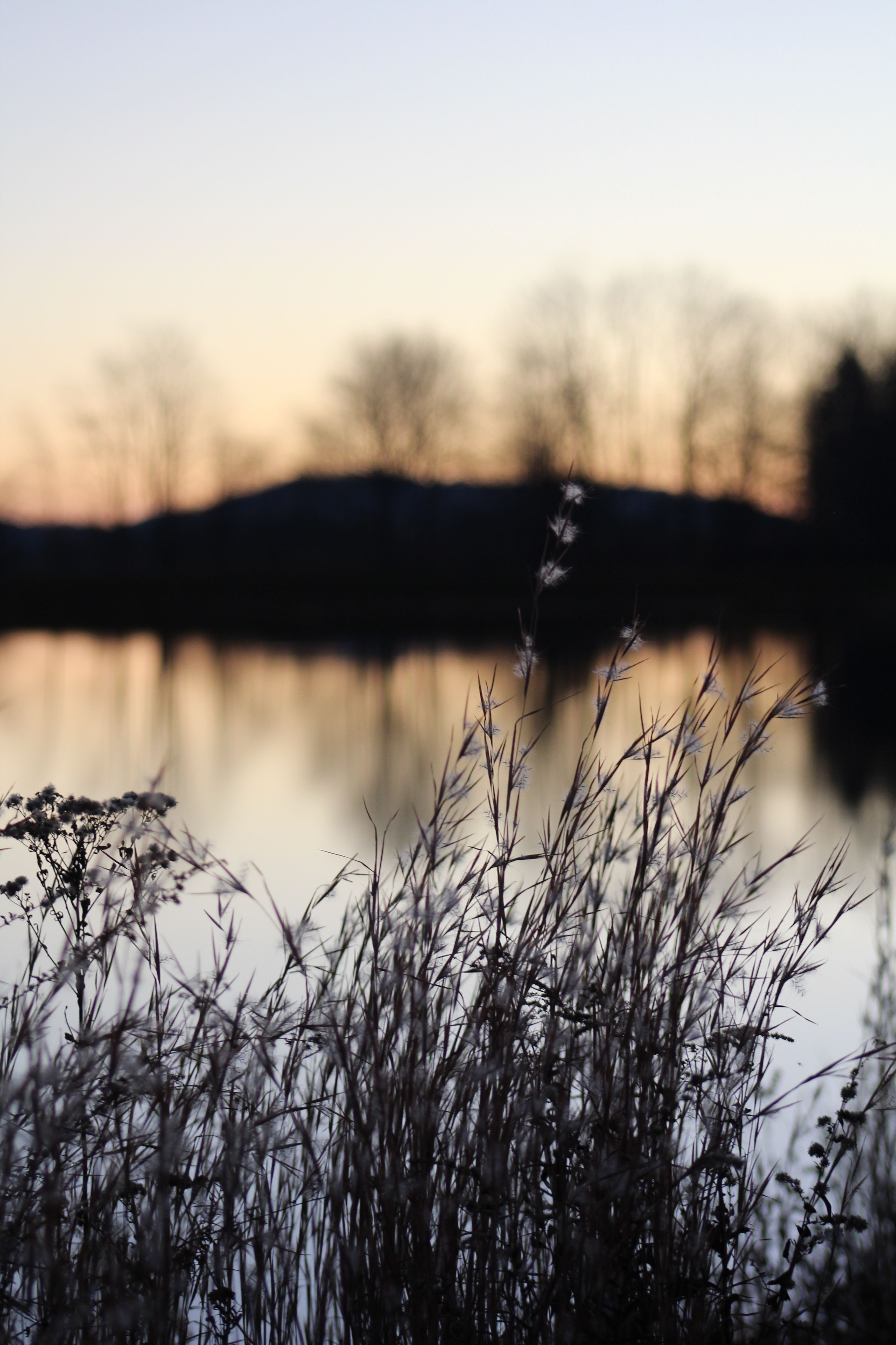 Serene Lakeside View at Sunset with Natural Beauty · Free Stock Photo