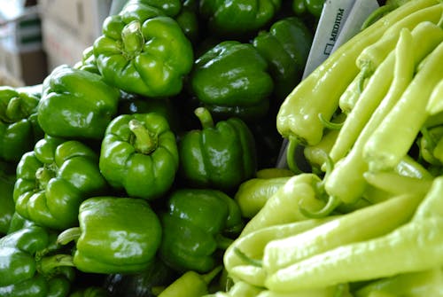 Free Green Bell Peppers Stock Photo