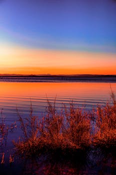 日落时分，平静的海面映照着鲜艳的色彩，营造出宁静的氛围