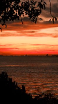 Stunning sunset view over the ocean with cityscape in the distance and trees silhouetted, creating a dramatic scene.
