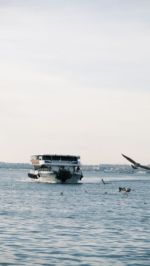 Free A ferry sailing on a tranquil sea with seagulls soaring nearby. Stock Photo