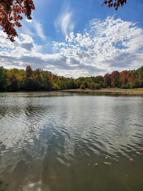 Free Tranquil pond surrounded by colorful autumn trees under a bright blue sky. Stock Photo