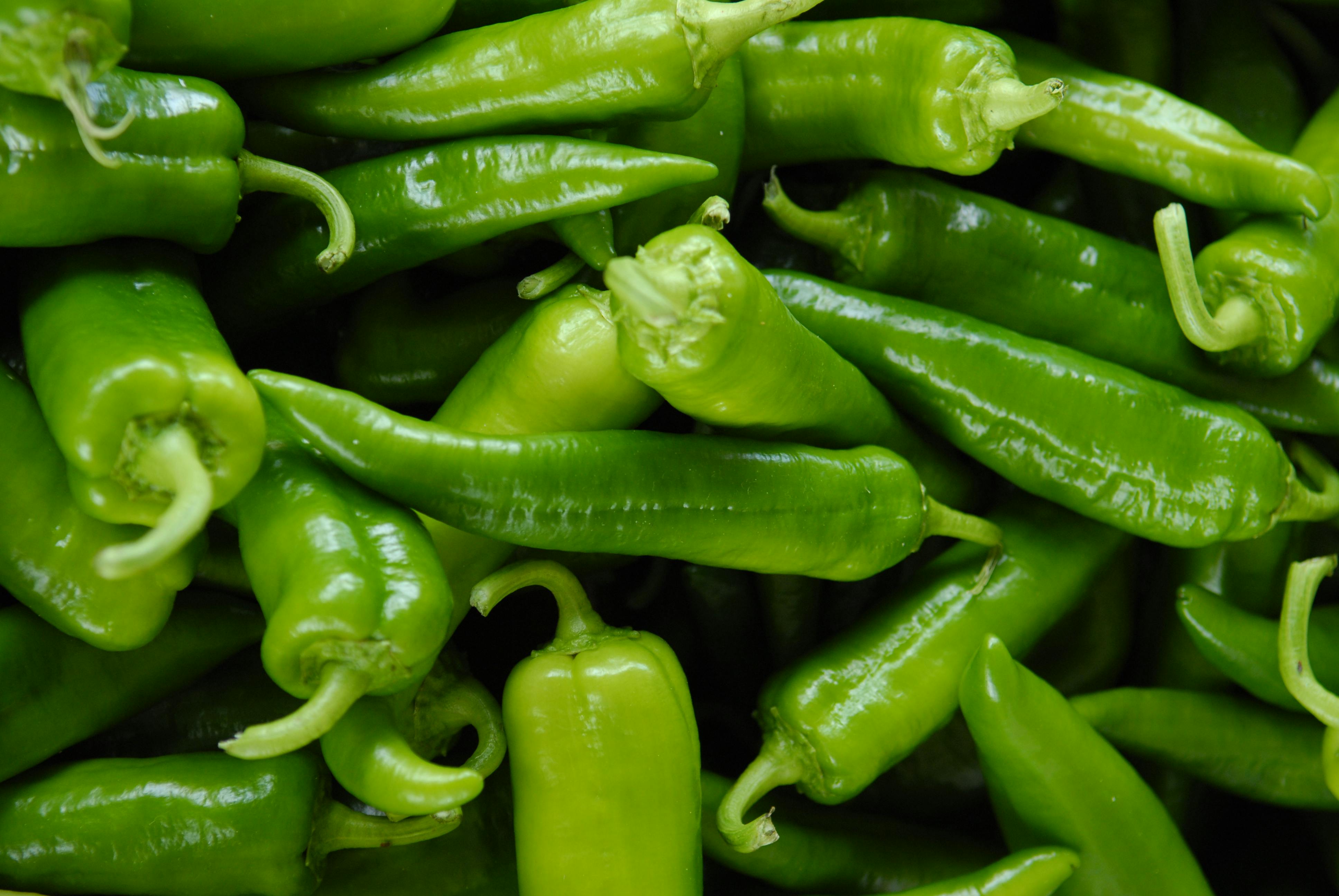CloseUp Photo of Green Chili Peppers · Free Stock Photo