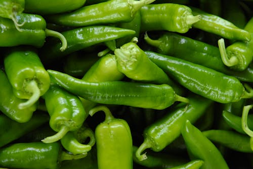 Close-Up Photo of Green Chili Peppers