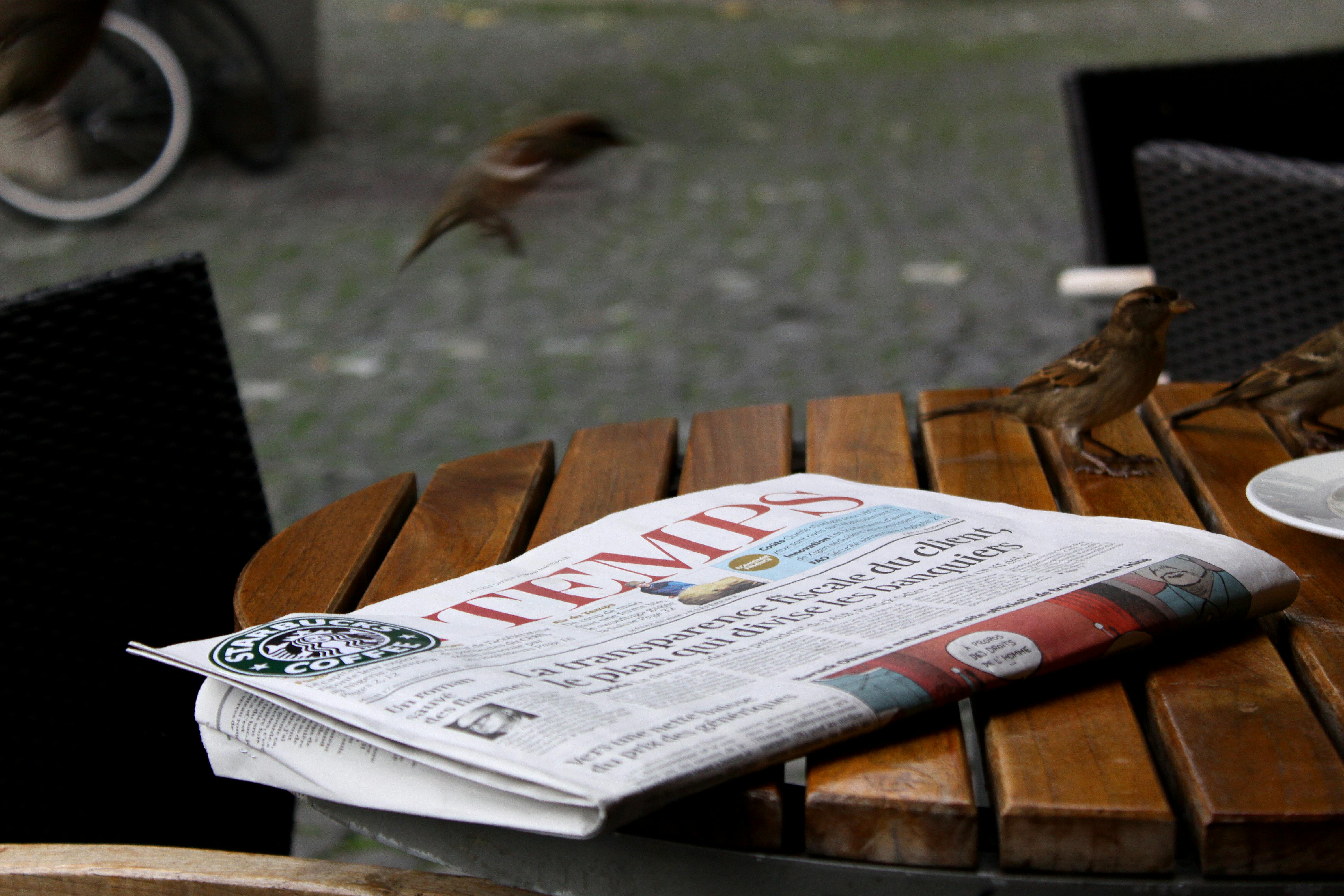 outdoor cafe table with newspaper and birds