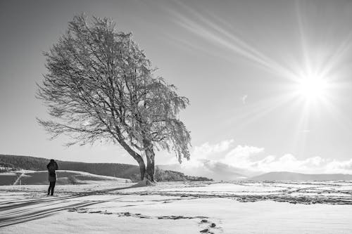 Persona De Pie Sobre El Campo De Nieve