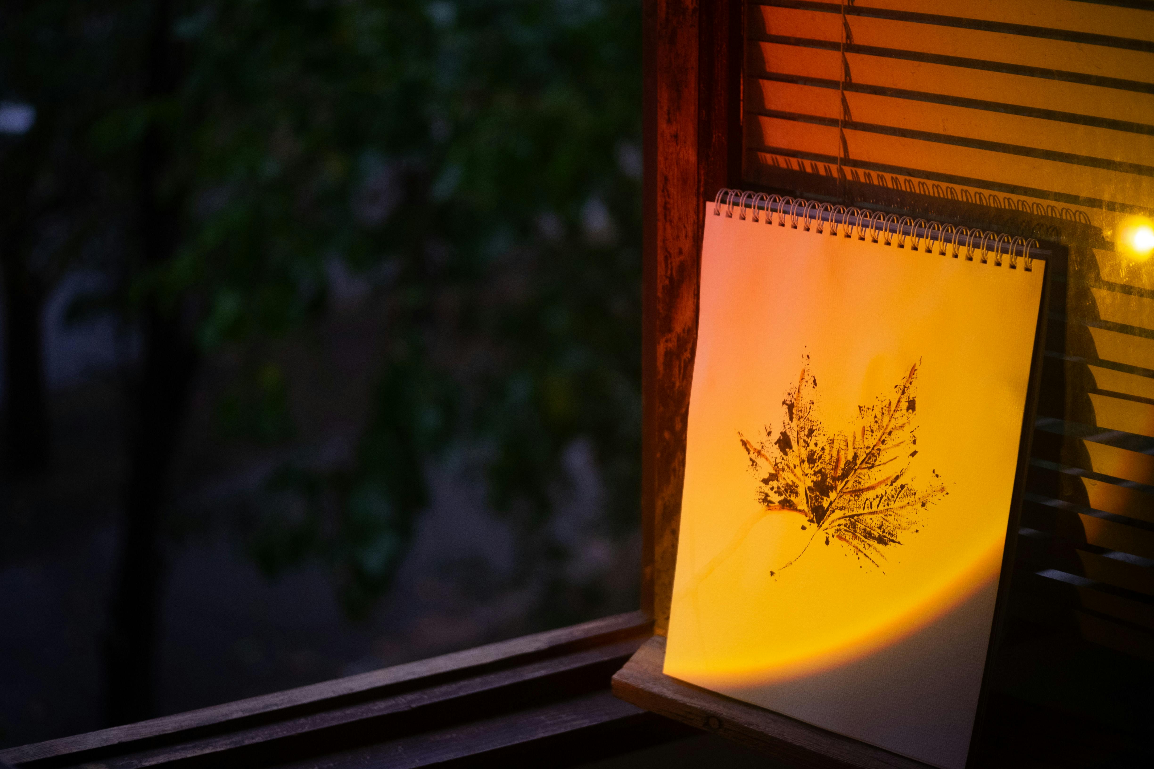 drawing natural light lifestyle photo 2