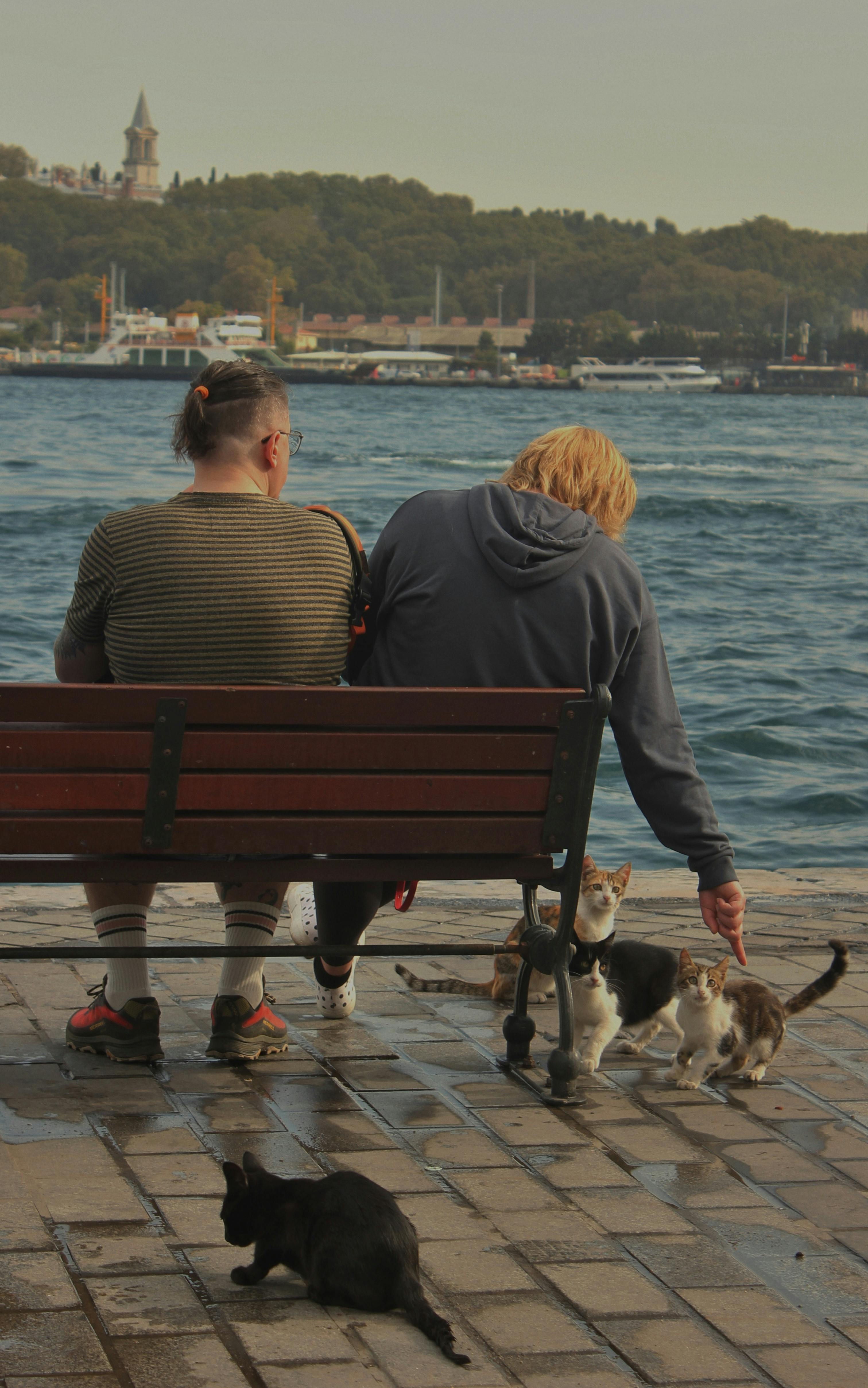 couple enjoying waterfront view with cats