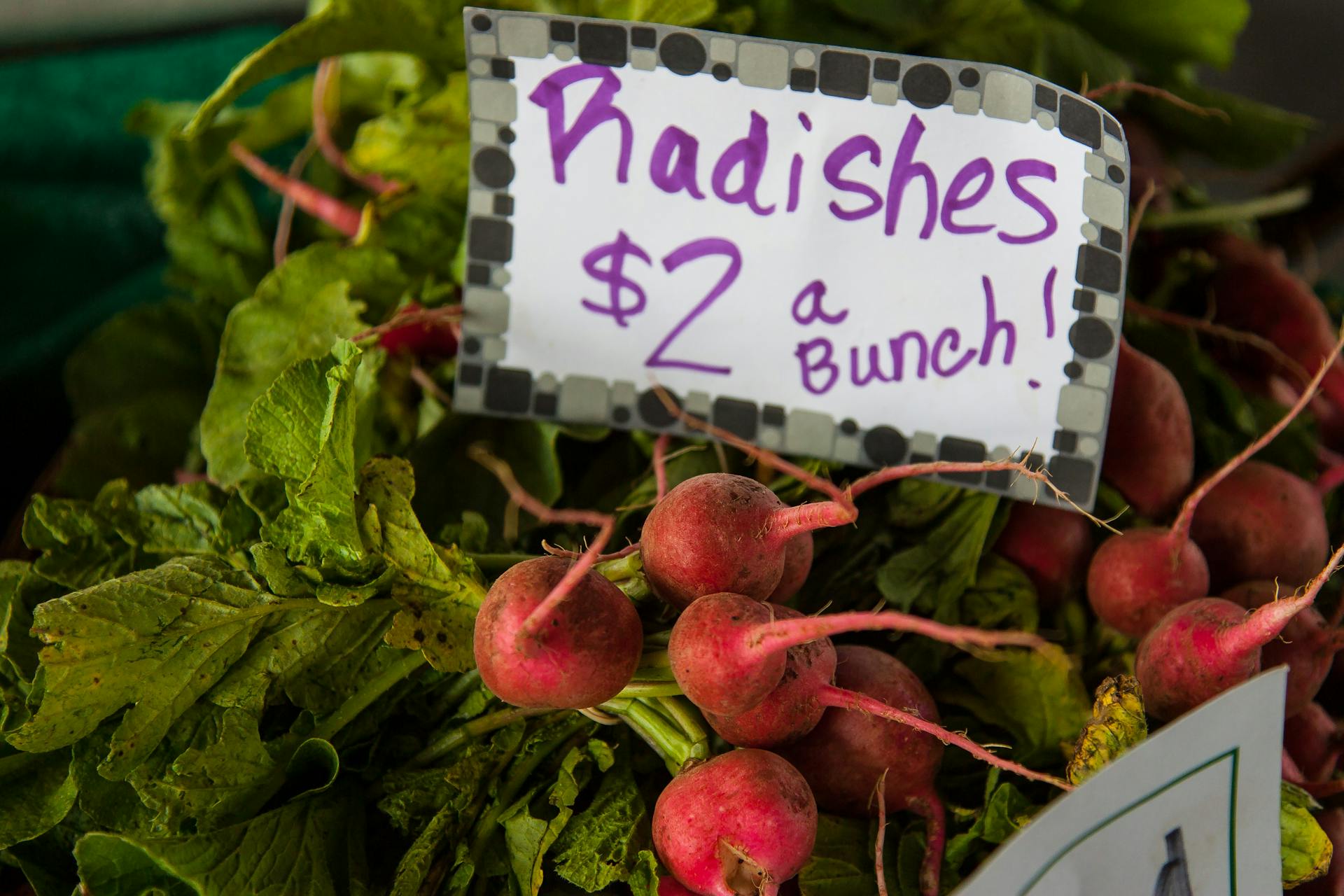 Radishes With  Price Tag