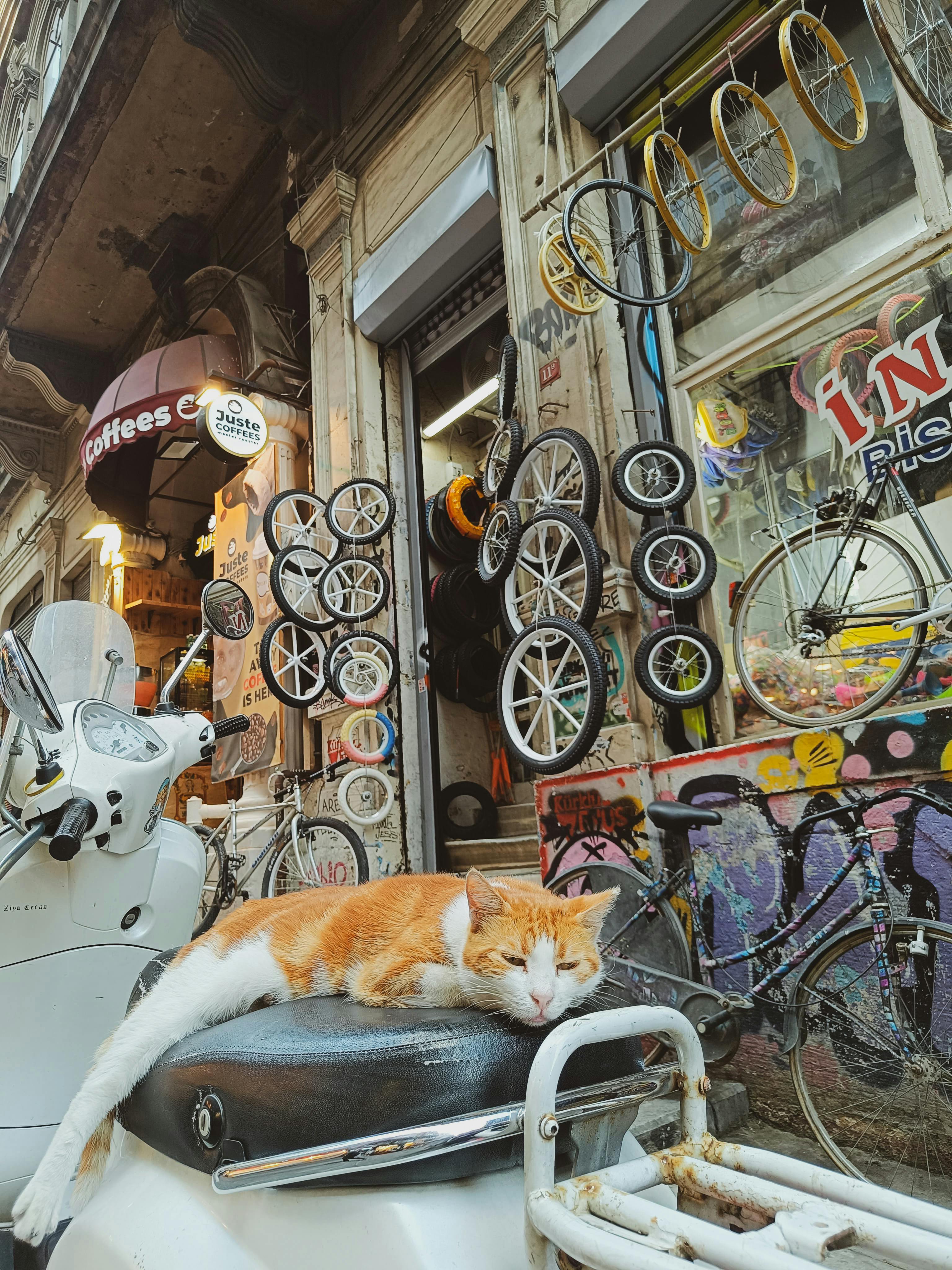 【自媒體副業】如何從零開始打造個人品牌？五個步驟建立斜槓人生，打造穩定收入的自媒體經營攻略圖片