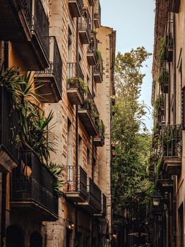 Explore a picturesque narrow street lined with classic architecture and lush greenery in Girona, Catalonia.