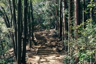 Mount Takao