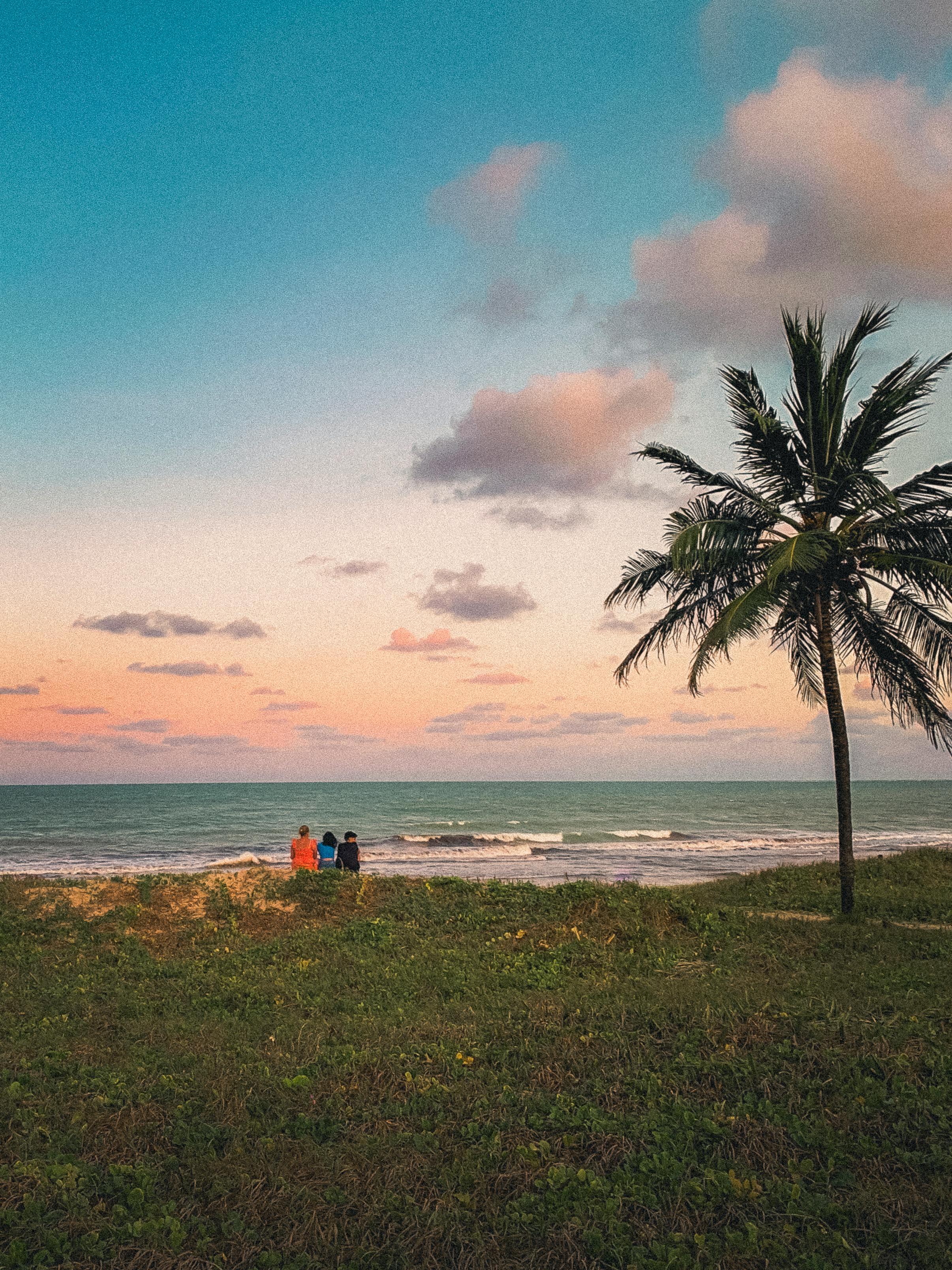 Vibrant sunset at a serene Paraíba beach, featuring three people and a prominent palm tree.