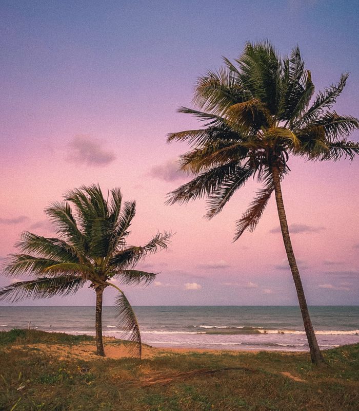 Pôr do sol entre coqueiros na praia da Paraíba