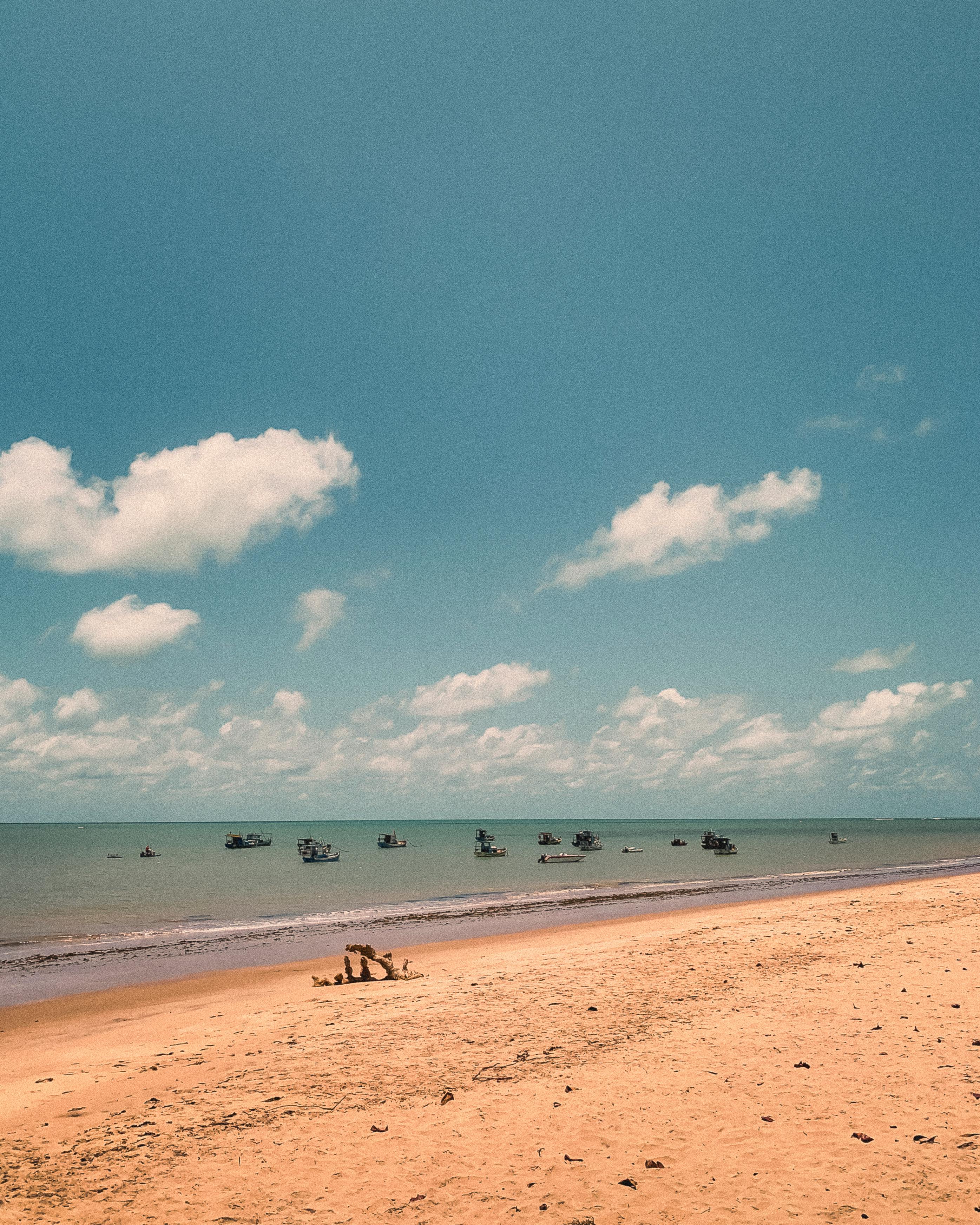 serene beach scene in paraiba brazil