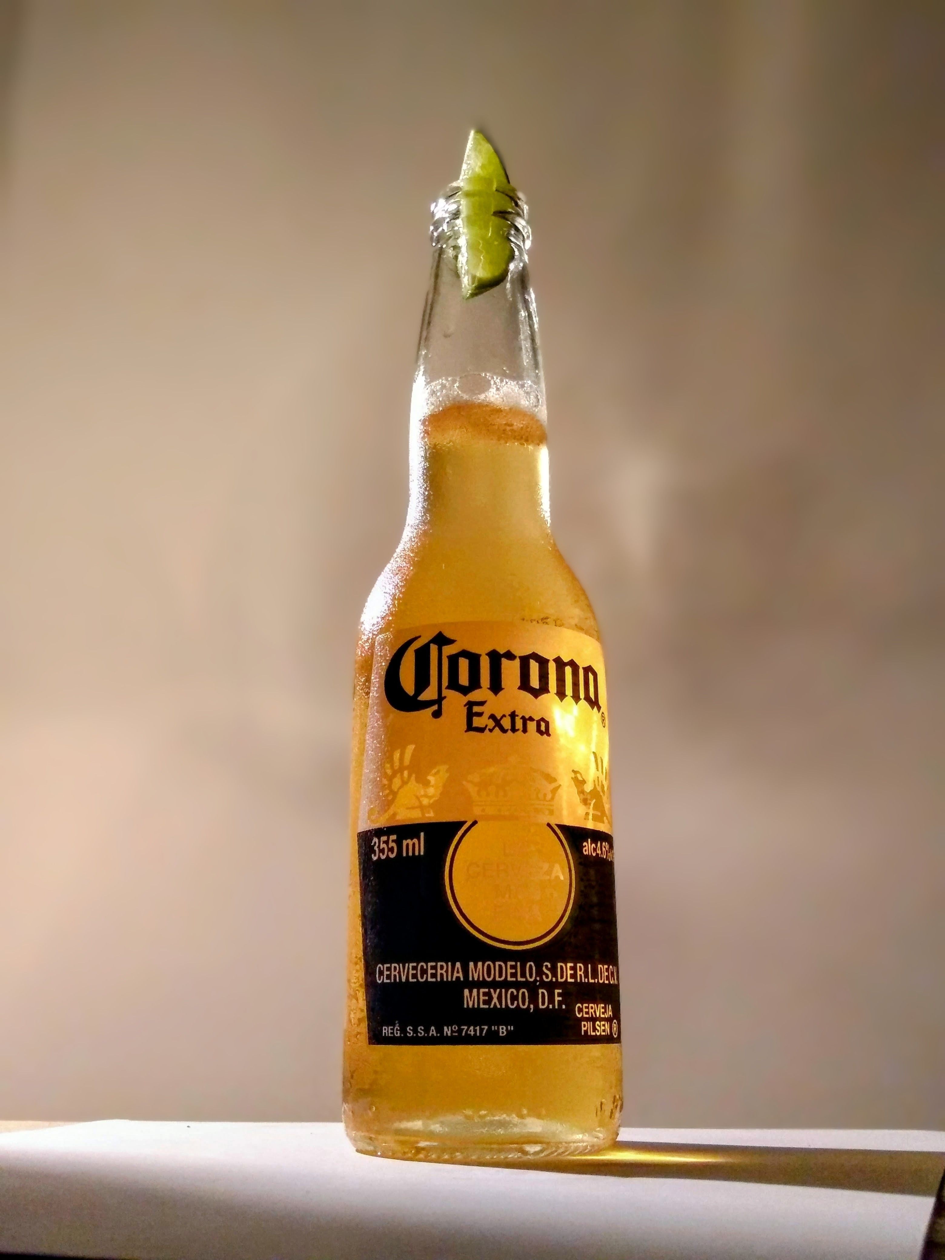Close-up of Corona Beer Bottle with Lime Slice · Free Stock Photo