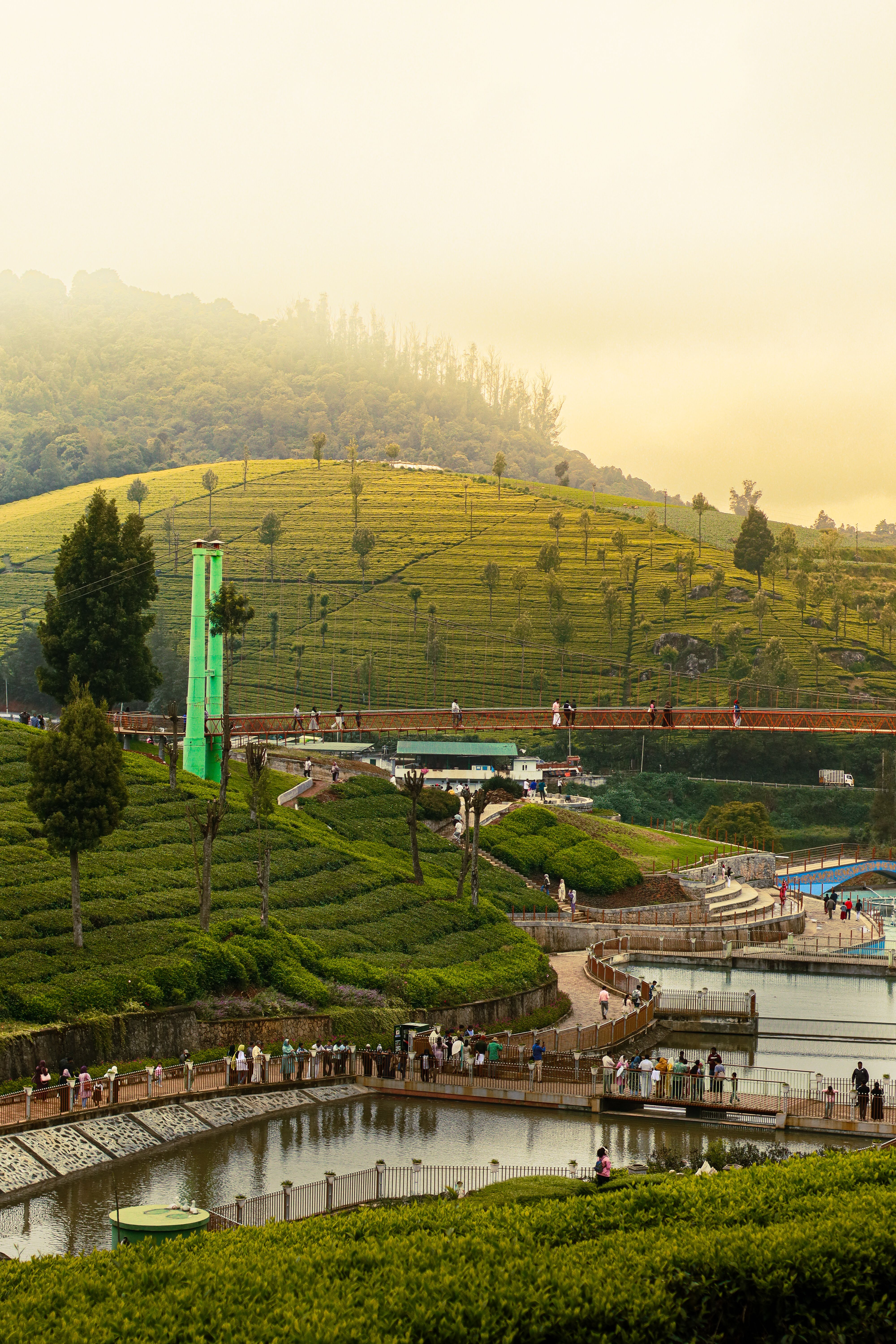 Ooty, Mysore & Coorg tour packages