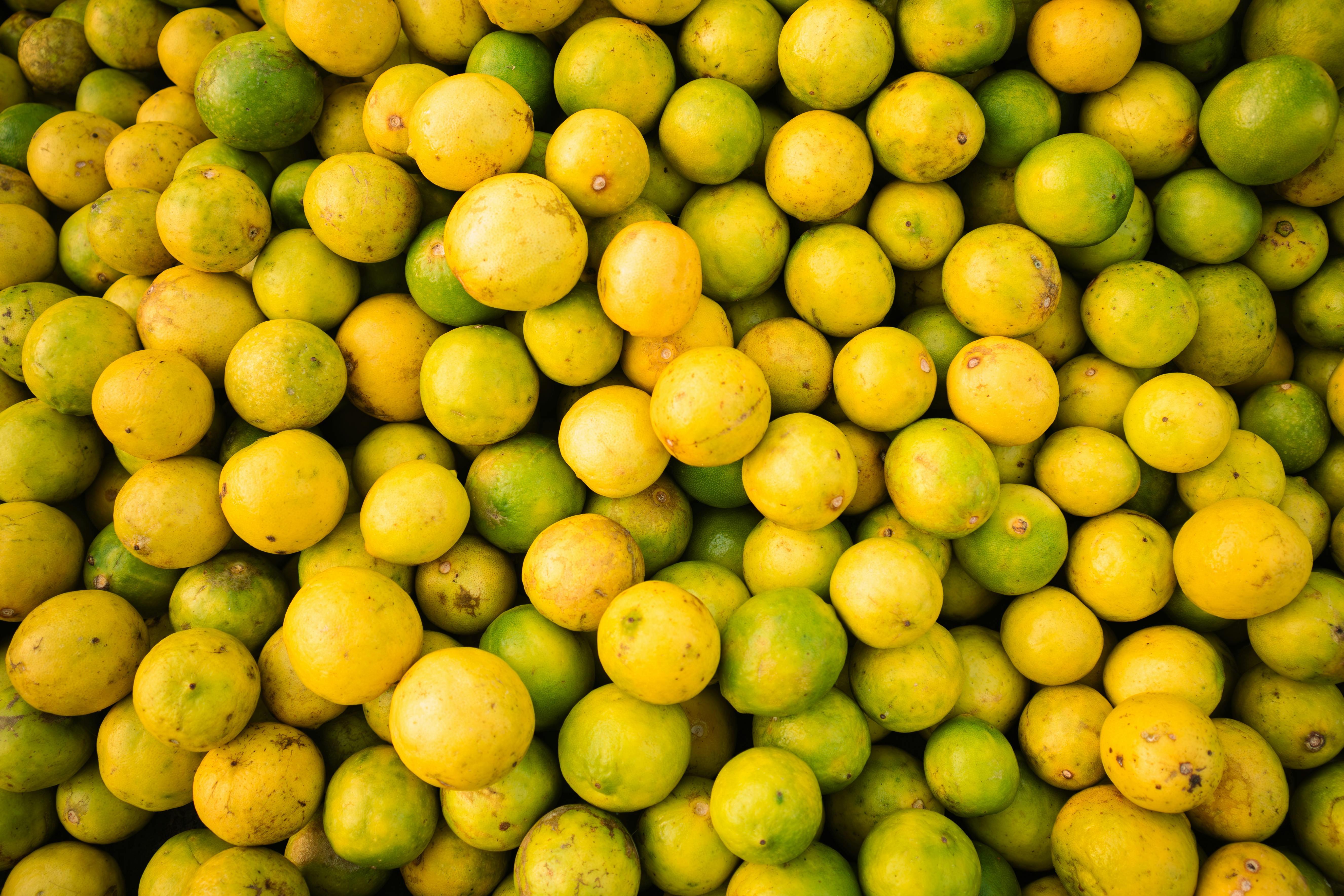 Scientific Evidence and Proposed Mechanisms