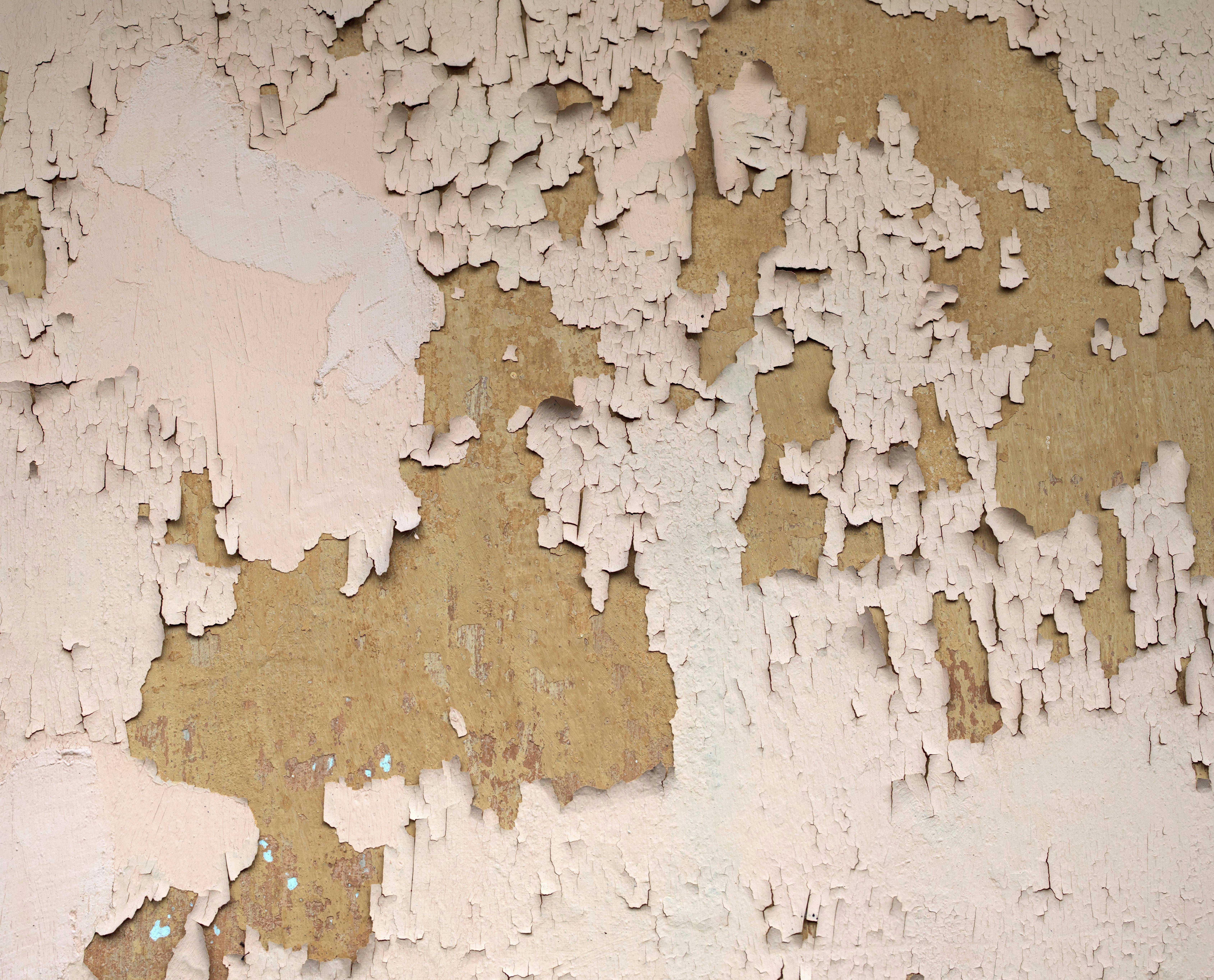 What Happens to Paint and Plaster After Water Exposure?