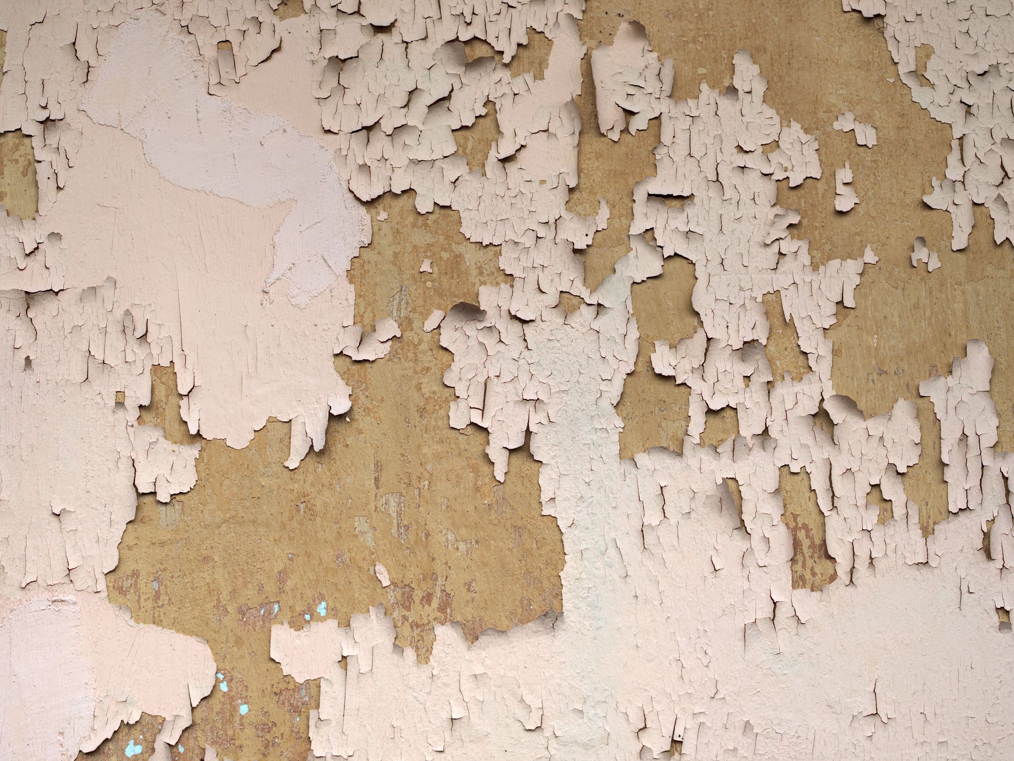 Interior Painting in Bulls Cross, Enfield — decorator applying interior paint to walls and ceilings