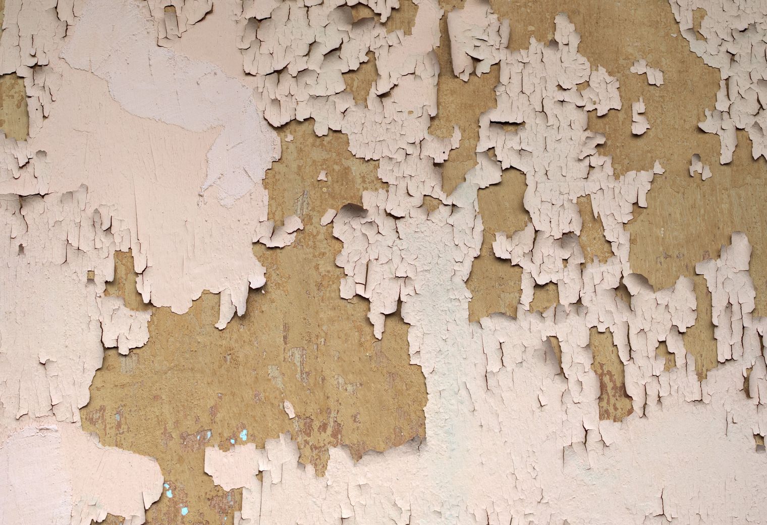 Painters and Decorators in The Hale — careful masking before painting begins