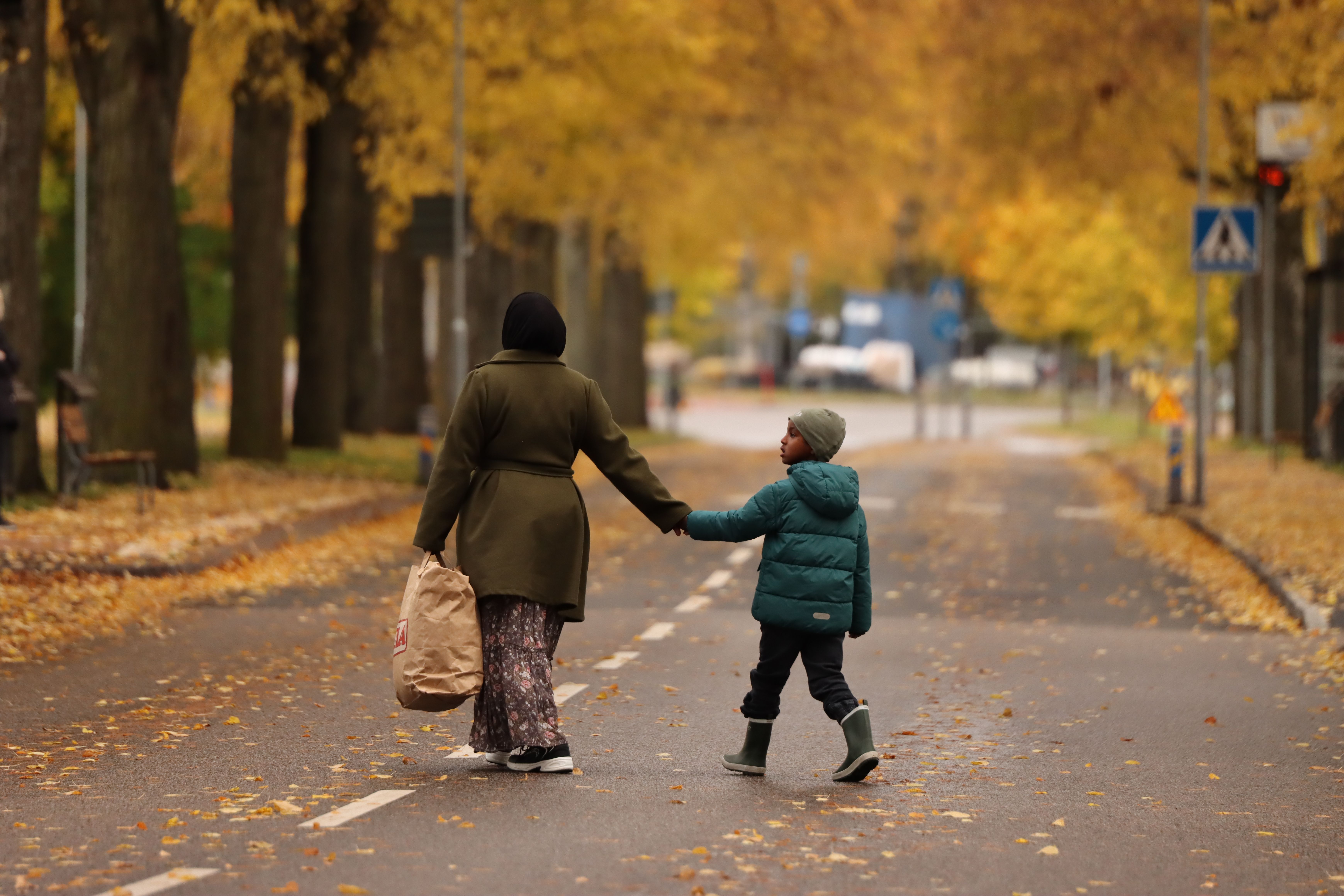 State warns of life insurance fraud ring targeting elderly — Photo by Efrem  Efre on Pexels