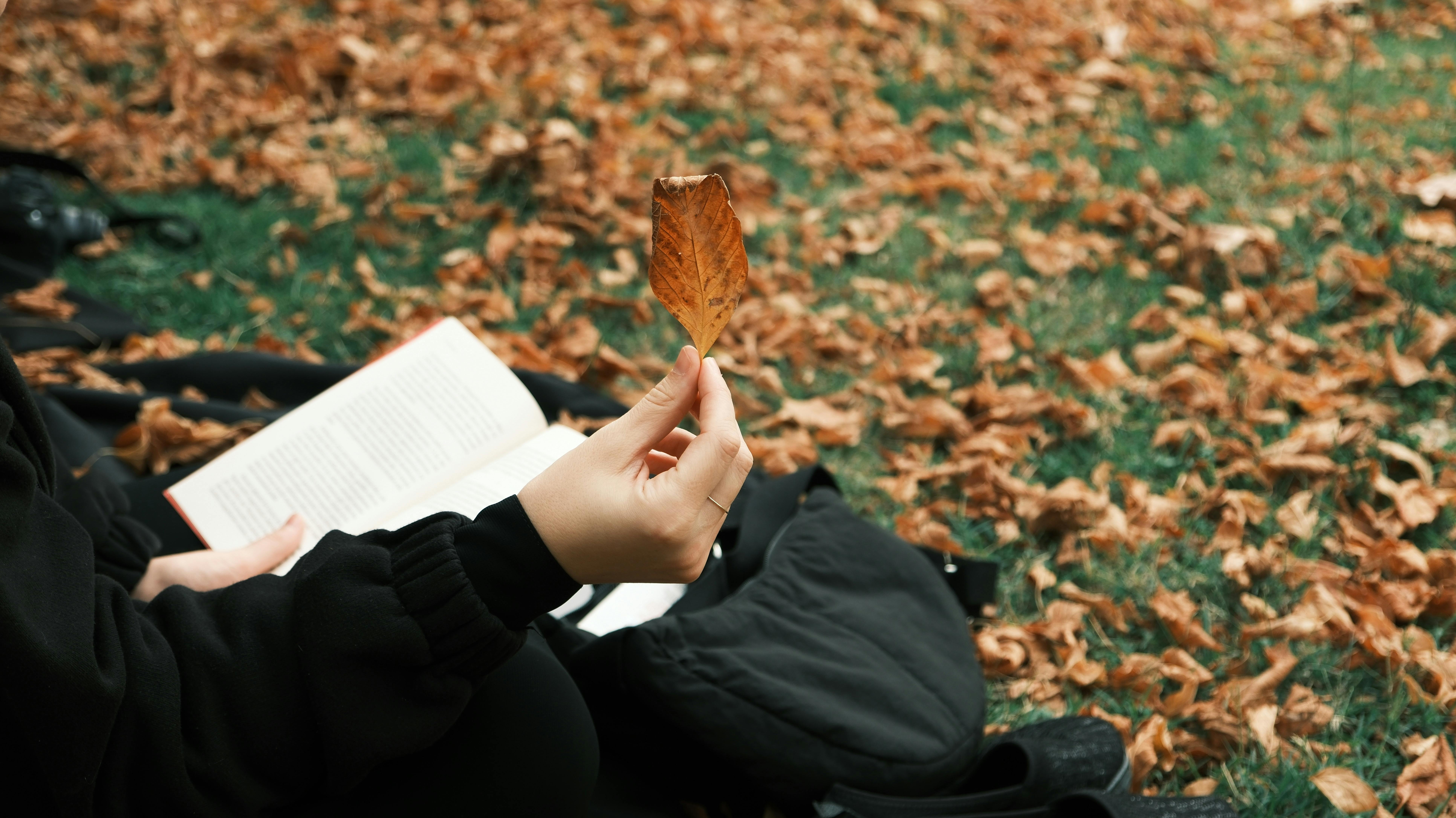Relaxing Autumn Day with Book and Leaf