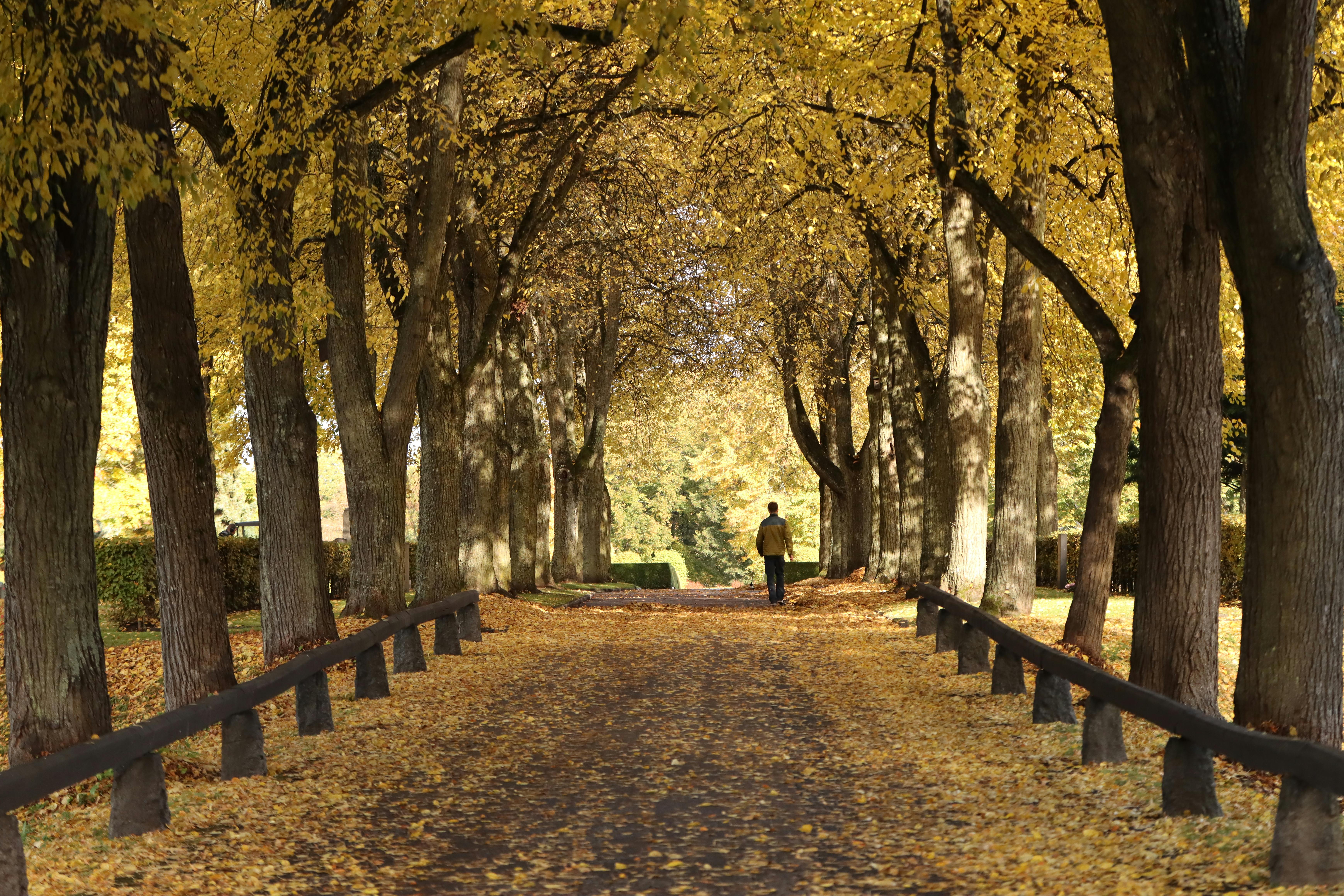 autumn stroll through jonkoping park