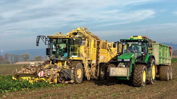 Harvester and tractor harvesting crops in Paderborn field.