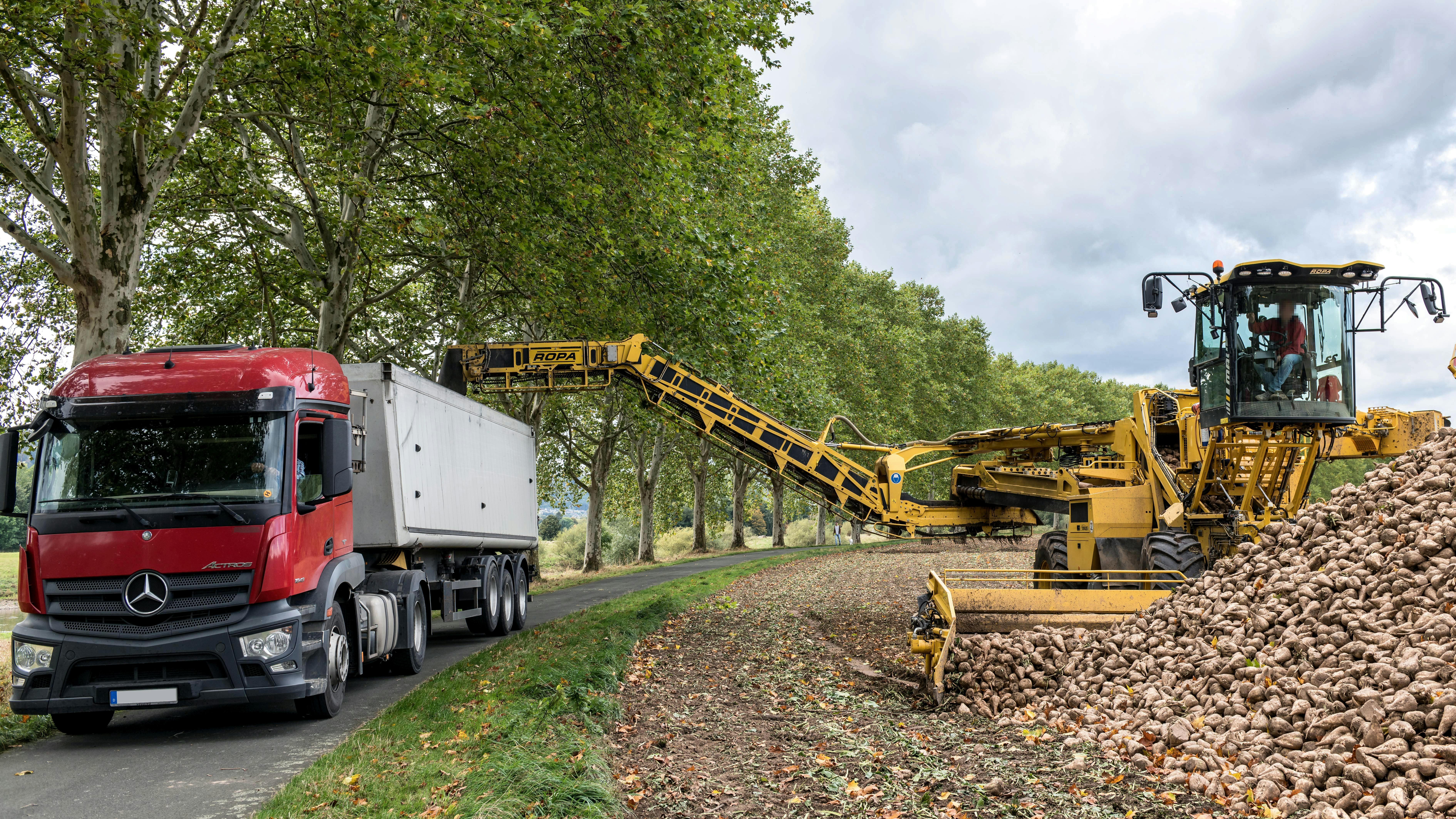 Yellow harvester loading sugar beets onto a red truck in Paderborn, Germany.