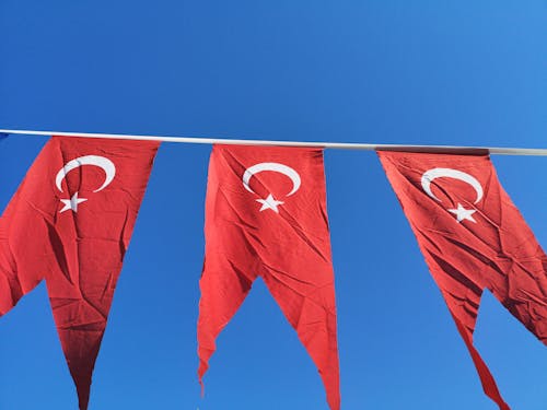 Free Photo of Turkish Flags Stock Photo