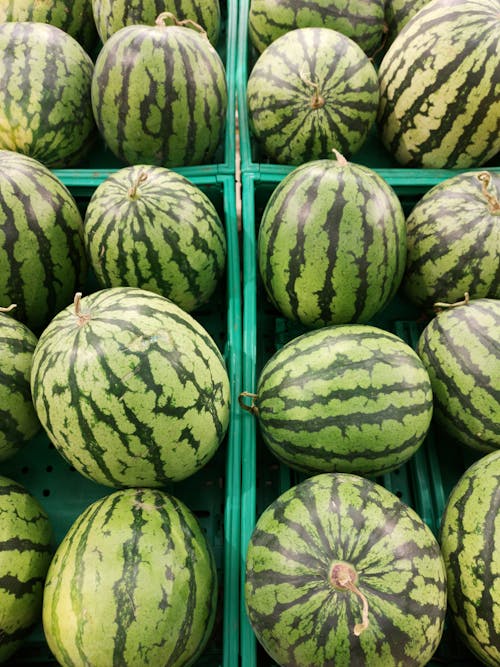 Free Photo of Watermelons Stock Photo