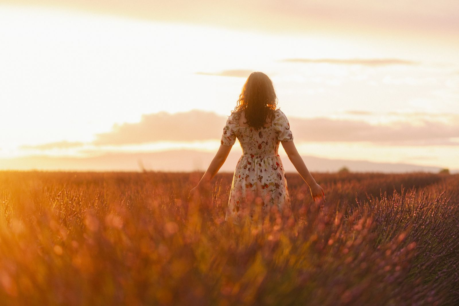 Femme dans un champ de lavande au coucher du soleil en Provence
