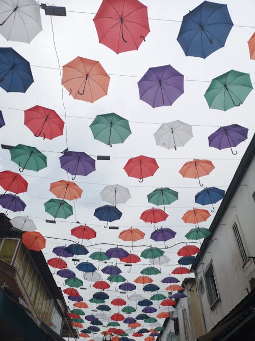 Verschiedene Farbige Regenschirme, Die An Saiten Hängen