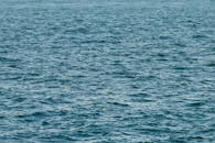 平静的蓝色海浪在日光下荡漾，构成一幅宁静的海景