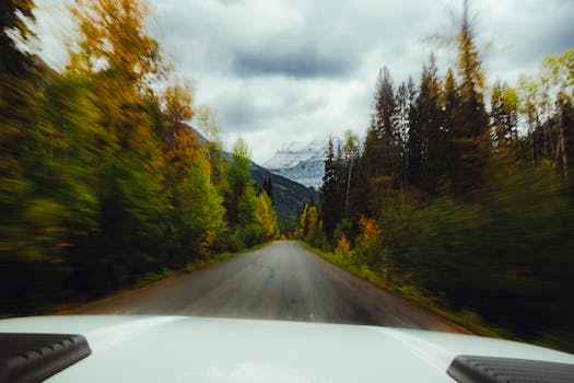 A dynamic view from a car hood driving through an autumn forest towards a snowy mountain.