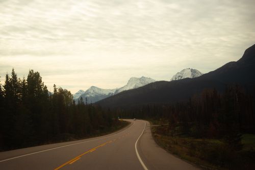 Free A winding road through a serene forest with snow-capped mountains in the background, creating a tranquil natural landscape. Stock Photo