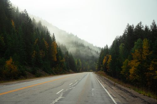 Free A misty highway through a tranquil autumn forest landscape. Stock Photo