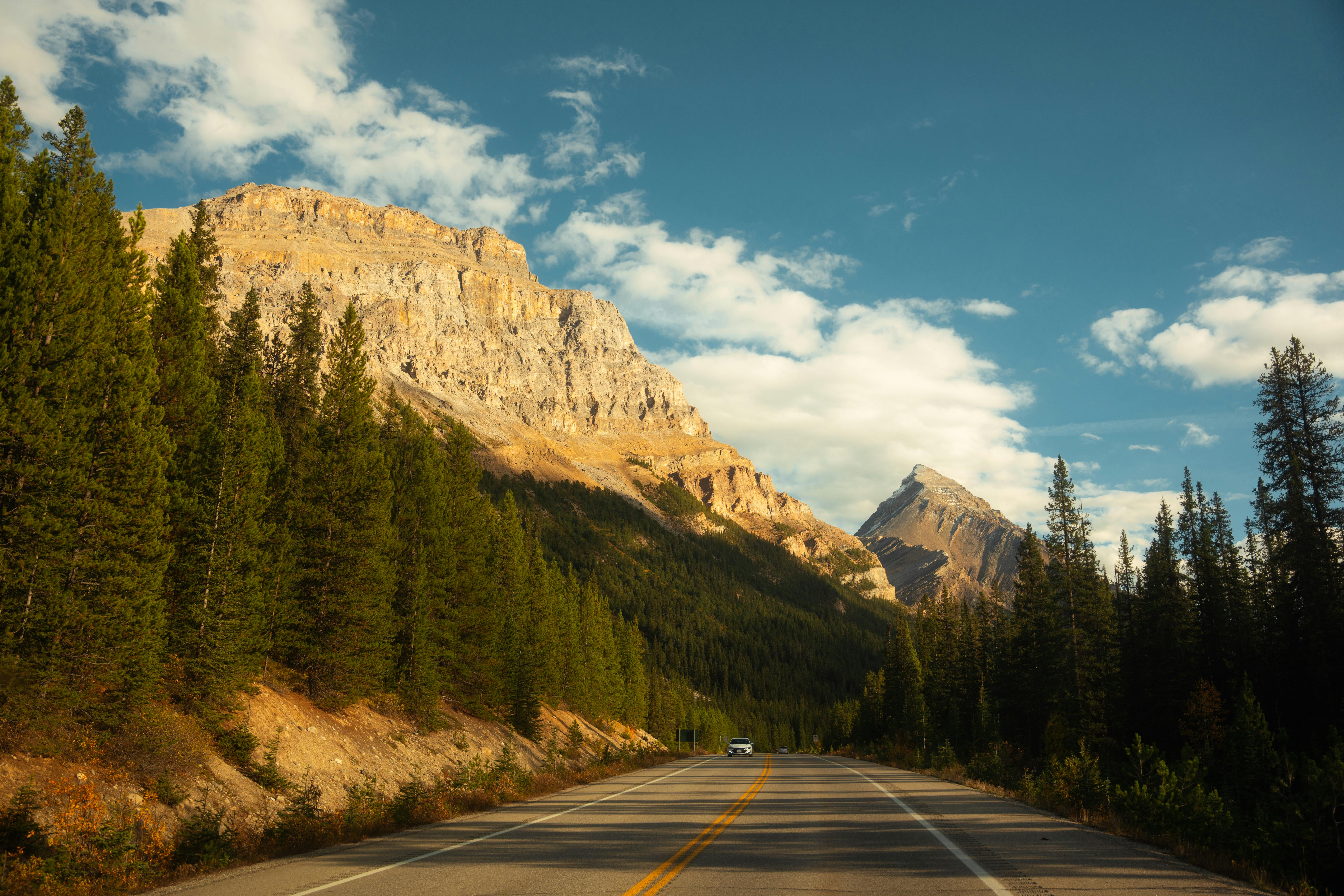 scenic mountain road through lush forests