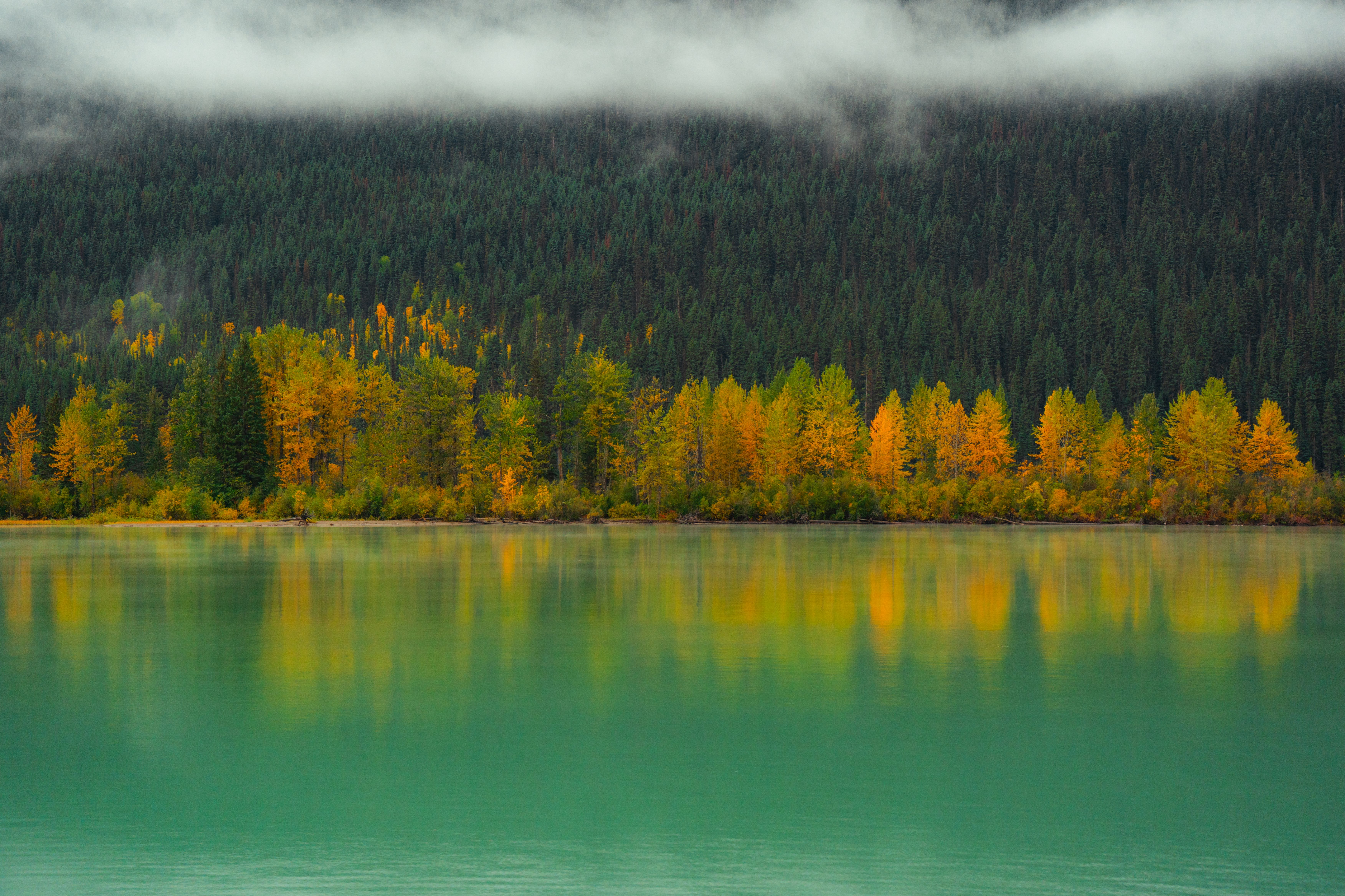 Serene Lake Reflection in Autumn Forest · Free Stock Photo