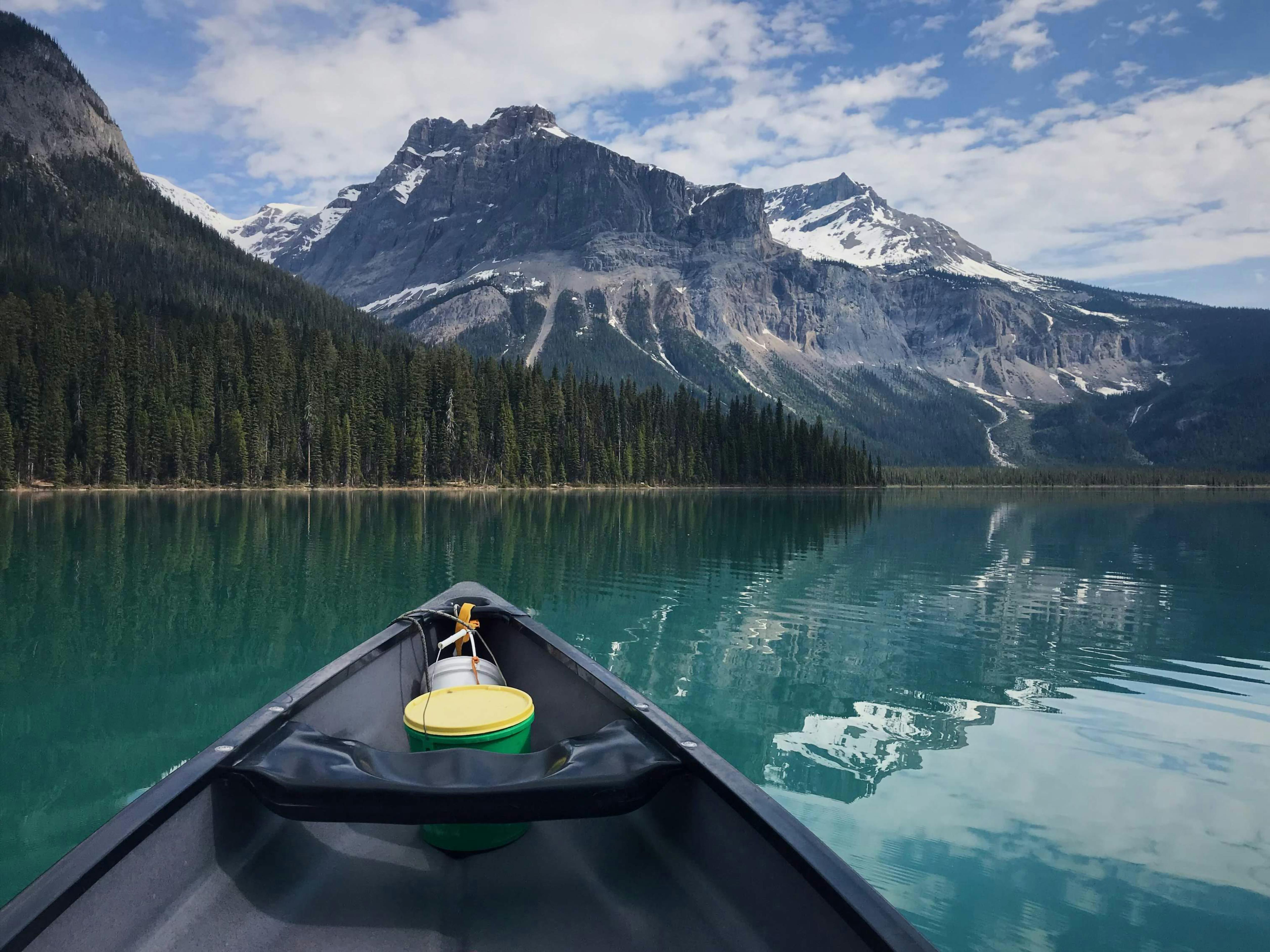 Landscape Photo of Trees Across the Mountains