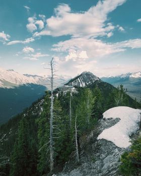 Stunning view of rugged mountains and lush conifers in Banff National Park, Canada.