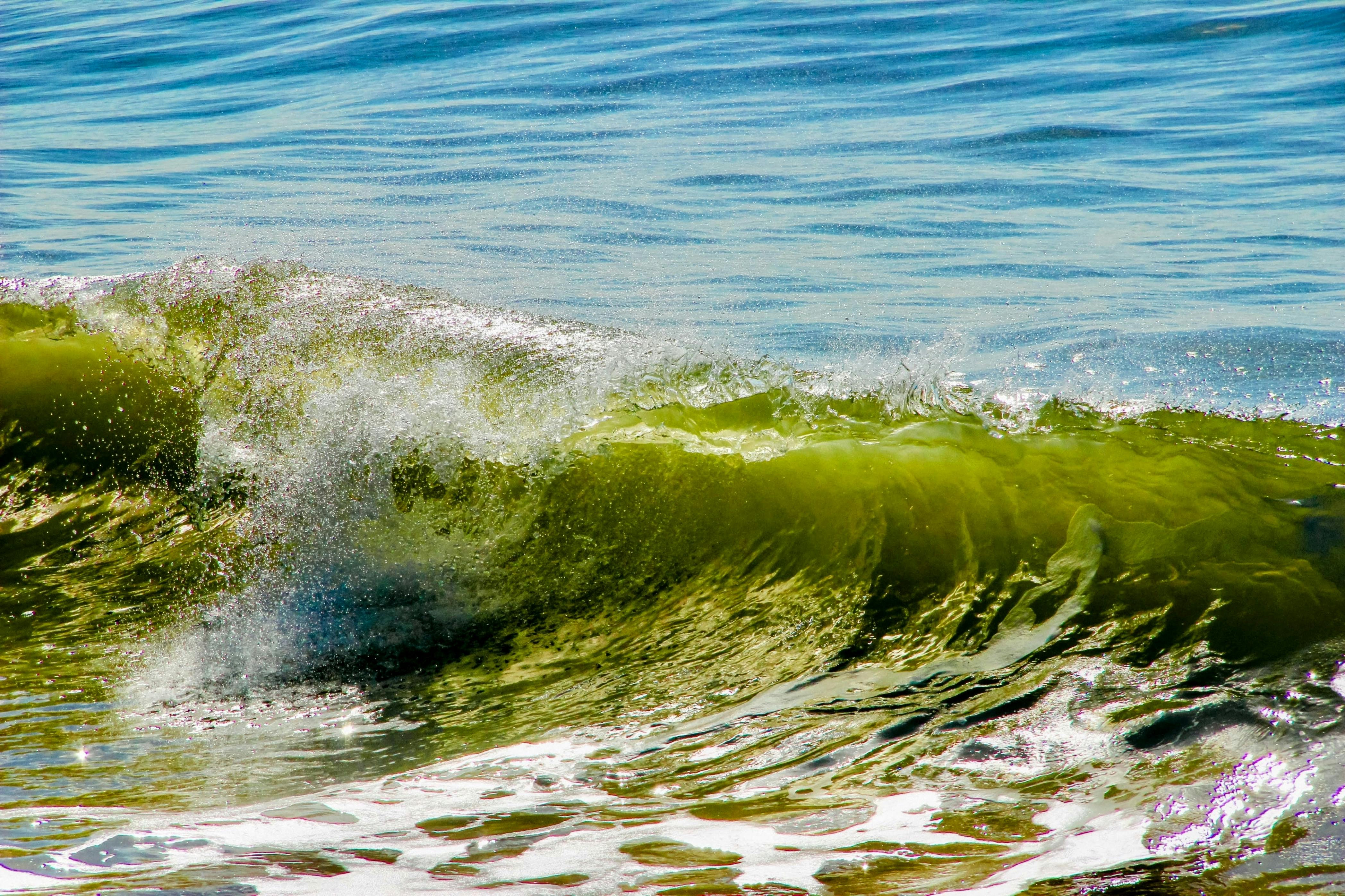 Dynamic ocean wave captured mid-splash, showcasing the beauty of nature's power.