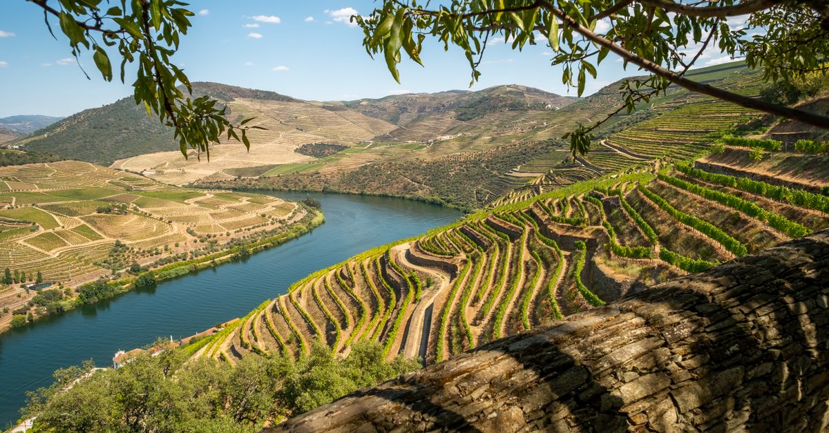 Quinta do Crasto