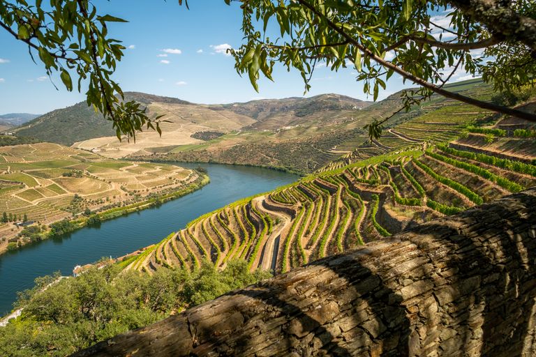 A Wine Lover's Guide to the Douro Valley and Vinho Verde Region – Portugal Active journal