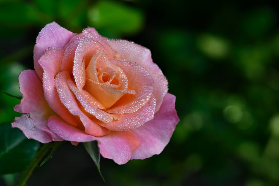 The Dark Side of Everyday Fragrances